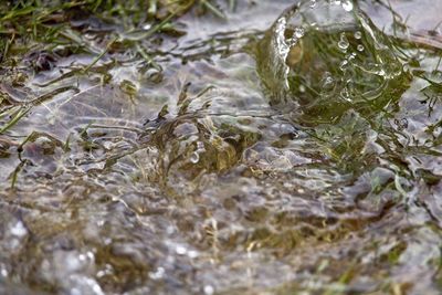 Full frame shot of water flowing in river