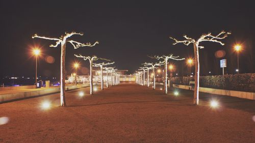 Illuminated street lights at night