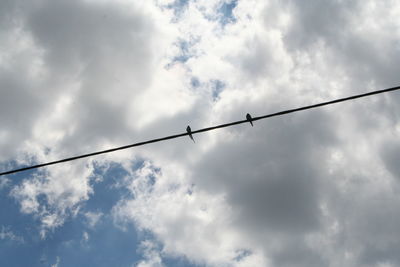 Low angle view of birds flying against sky