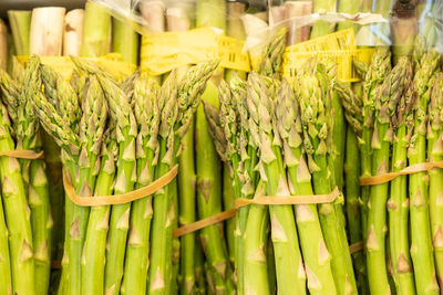 Bunches of green asparagus on market stall