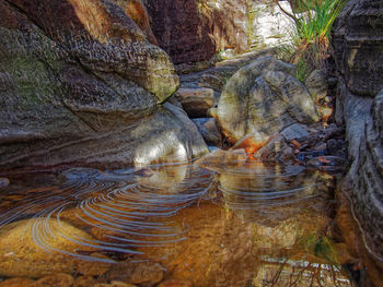 Close-up of water flowing through rocks