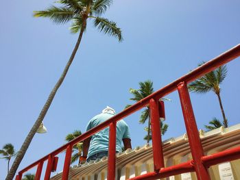 Low angle view of palm trees against clear blue sky