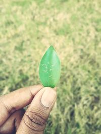 Close-up of hand holding leaf