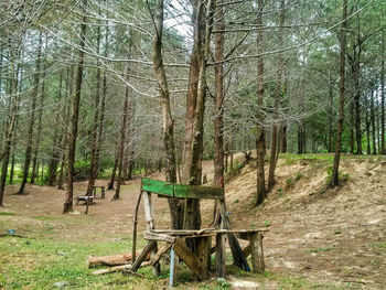 Empty wooden bench in forest