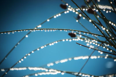 Close-up of water drops on glass against blue sky