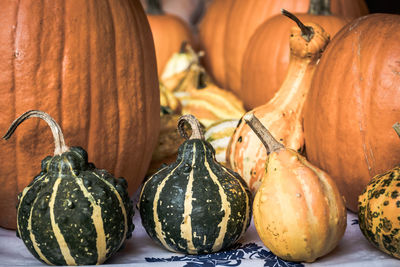 Close-up of pumpkins for sale at market