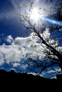 Close-up of silhouette tree against sky