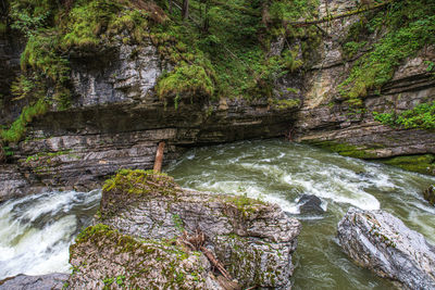 Stream flowing through rocks in forest