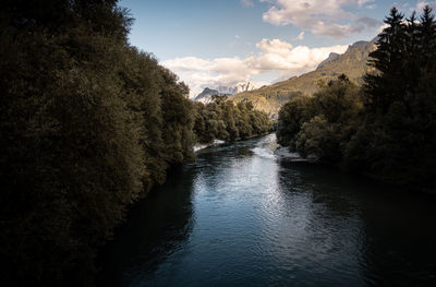 Scenic view of river amidst trees against sky