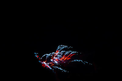 Close-up of illuminated fireworks against black background