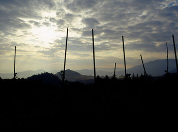 Silhouette trees against sky at sunset