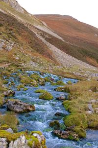 Scenic view of stream flowing through rocks