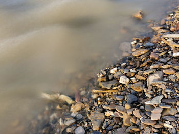 High angle view of rocks on shore