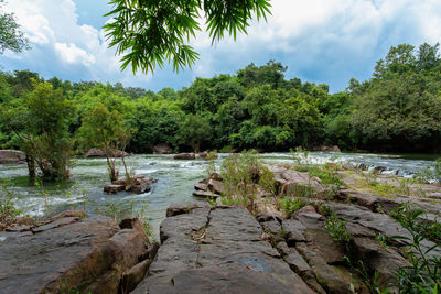 Scenic view of river by trees against sky