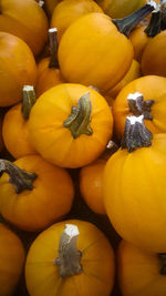 High angle view of pumpkins in market