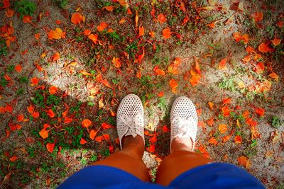 Low section of woman standing on autumn leaves