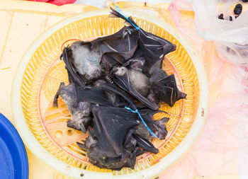 High angle view of fish in plate