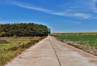 Road amidst plants on field against sky