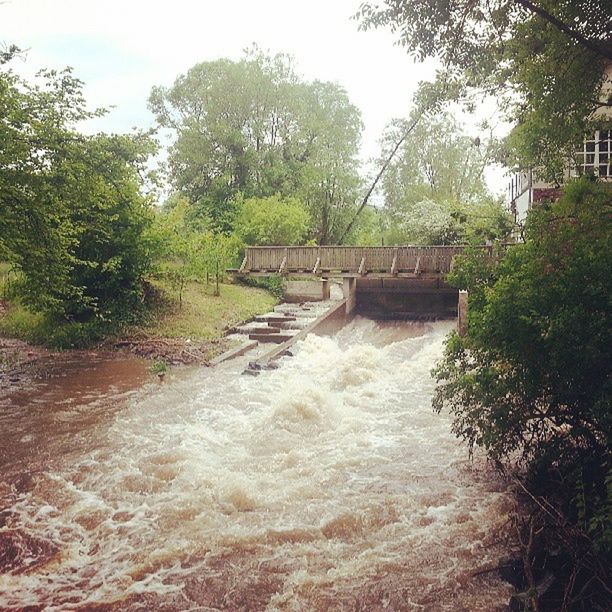 tree, water, stream, nature, built structure, forest, river, growth, tranquility, flowing water, green color, tranquil scene, scenics, flowing, bridge - man made structure, beauty in nature, plant, day, architecture, outdoors