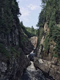 Scenic view of waterfall in forest against sky