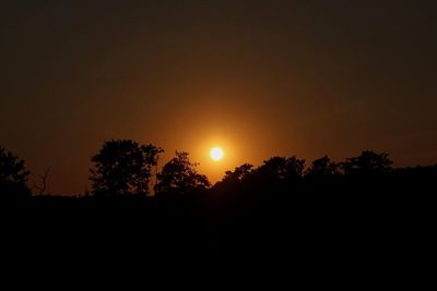 Silhouette trees against sky during sunset