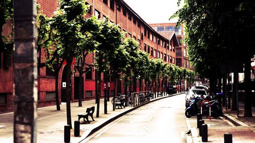 Road amidst trees in city against clear sky