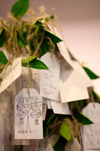 Close-up of text on paper