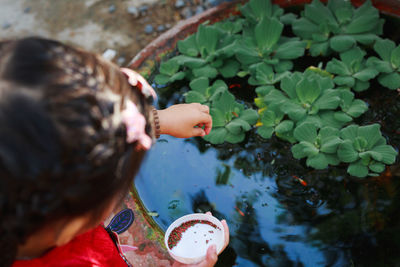 High angle view of girl amidst plants