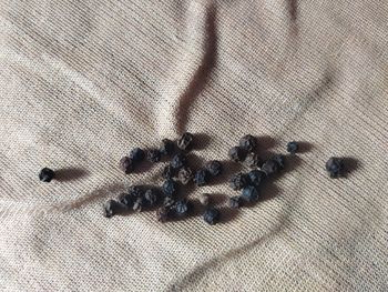 High angle view of coffee beans on table