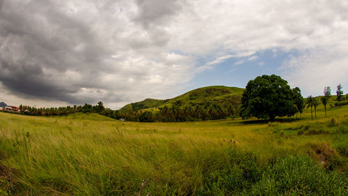 Scenic view of field against sky