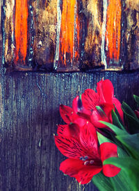 Close-up of red flower against wood