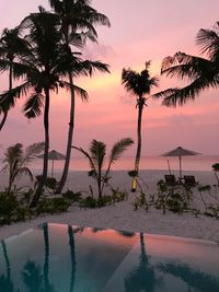 Silhouette palm trees by swimming pool against sky during sunset