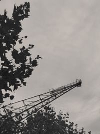 Low angle view of tree against sky