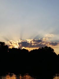 Silhouette of trees at sunset