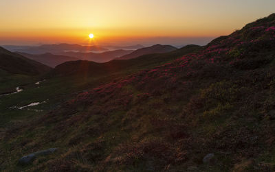 Scenic view of landscape against sky during sunset