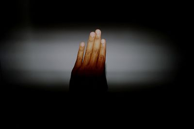 Close-up of leaf against black background