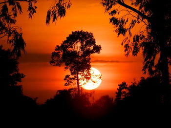 Silhouette trees against romantic sky at sunset