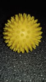 Close-up of yellow flower against black background