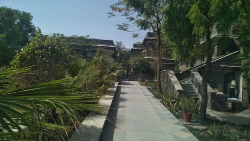 Footpath amidst trees and buildings against sky