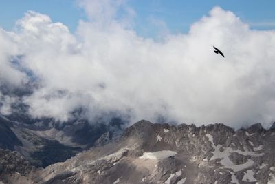 Low angle view of bird flying in sky over mountain 