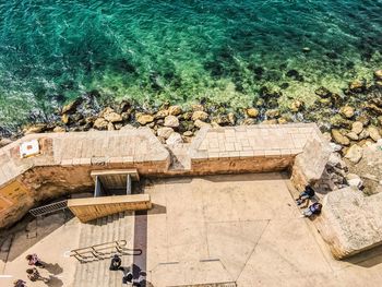 High angle view of horse by sea