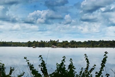 nature