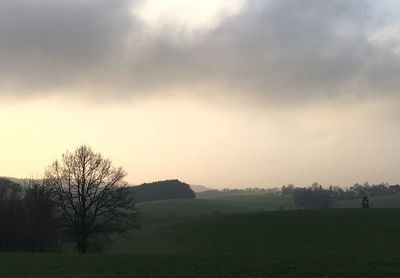 Scenic view of field against clear sky