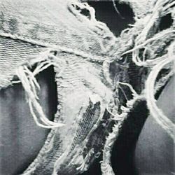 Close-up of plant