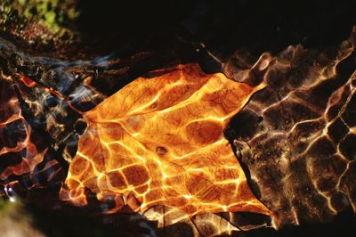 Close-up of rocks in water