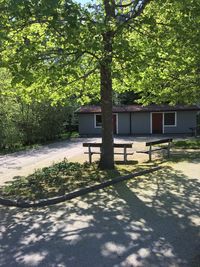 Built structure by trees in park