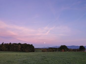 Scenic view of field against sky during sunset