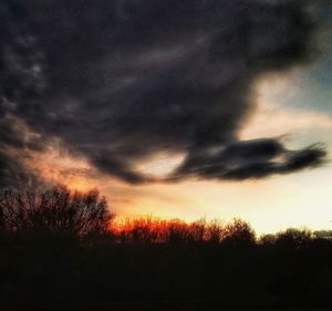Silhouette trees against dramatic sky during sunset
