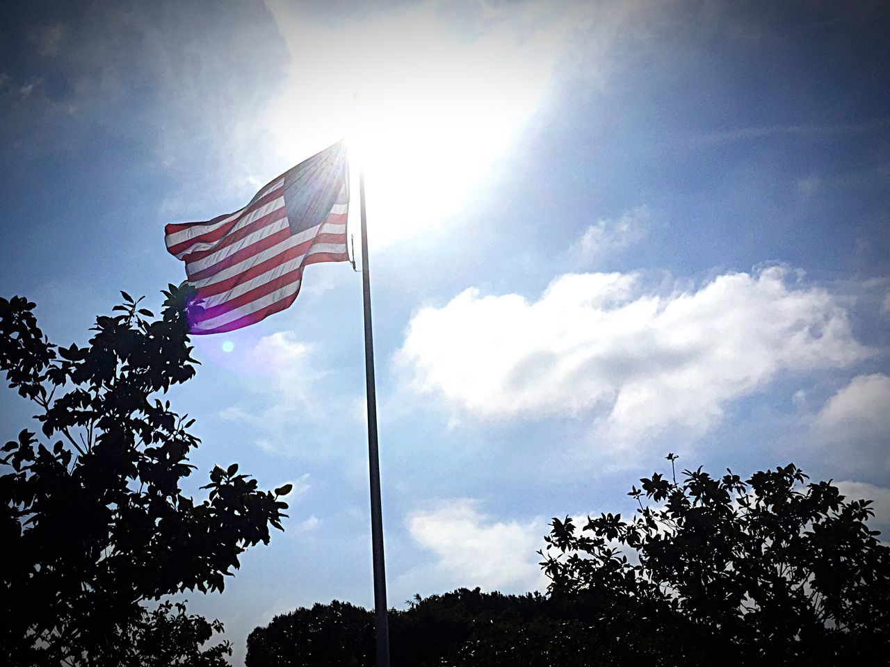 low angle view, flag, patriotism, identity, national flag, american flag, sky, tree, built structure, building exterior, architecture, cloud - sky, cloud, pole, sunlight, culture, day, outdoors, street light, no people