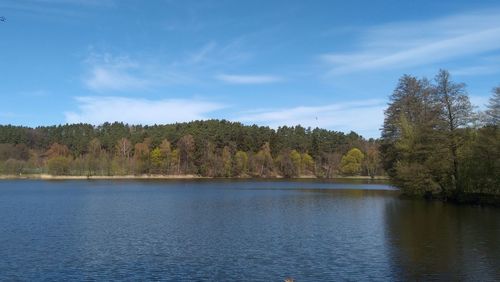 Scenic view of lake in forest against sky